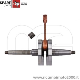 ALBERO-PIAGGIO-4354556.jpg_1