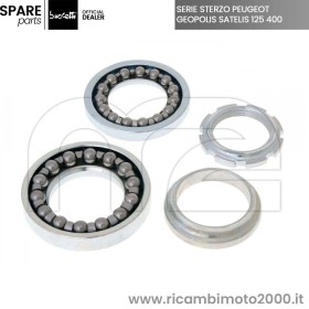 BUZZETTI-60648.jpg_1