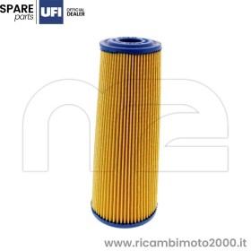 FILTRO-ARIA-GUZZI-GU17113651.jpg_1