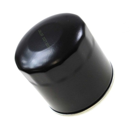 filtro-1A023538-olio.jpg_1