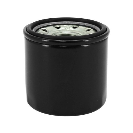 FILTRO-OLIO-1A023538.jpg_1