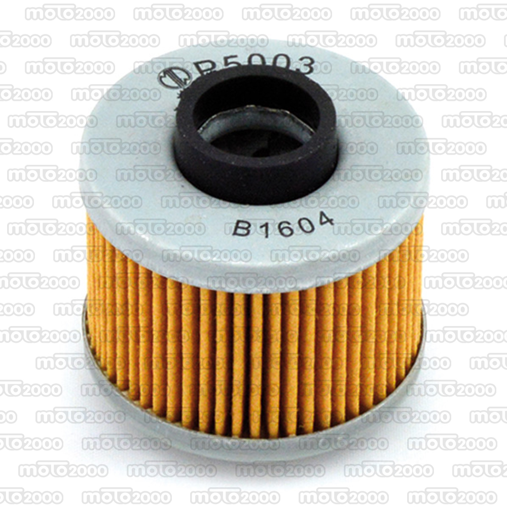 Set Di 2 Filtri Olio Compatibili Con Aprilia 500 Atlantic (PT003) 2003-2005