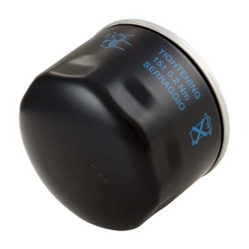 FILTRO-PIAGGIO-82960R.jpg_1