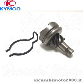 immagine28.jpg_product