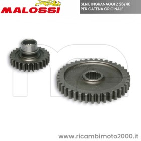 MALOSSI 6714418.jpg_1