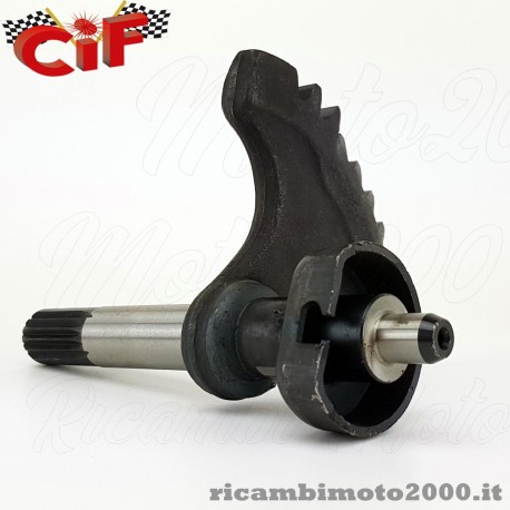 immagine331.jpg_product_product_product