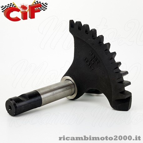 immagine331.jpg_product_product_product