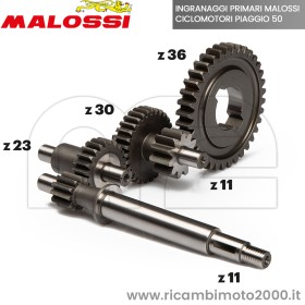 677021 ingranaggi primari.jpg_1