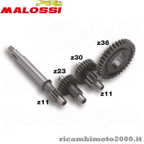 ingranaggi malossi piaccio ciao.jpg_1