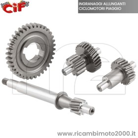 RAPPORTI ALLUNGATI PIAGGIO CON VARIATORE 01.jpg_1