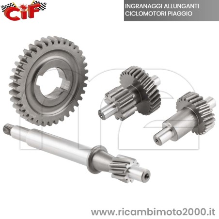 RAPPORTI ALLUNGATI PIAGGIO CON VARIATORE 01.jpg_1