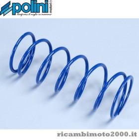 POLINI 243076.jpg_1