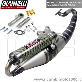 31304E giannelli.jpg_1