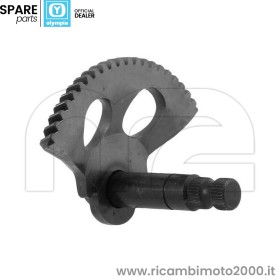 SETTORE-AVVIAMENTO-MINARELLI-CURVO.jpg_1