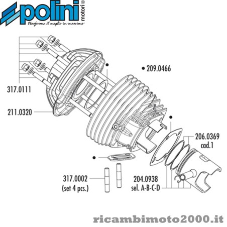 140_0211 polini 02.jpg_1