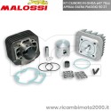 KIT CILINDRO MALOSSI 316926.jpg_1