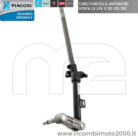 PIAGGIO 6484135 01.jpg_1