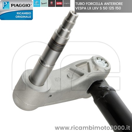 PIAGGIO 6484135 02.jpg_1