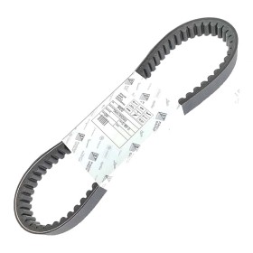 CINGHIA-841213-PI-LEADER.jpg_1