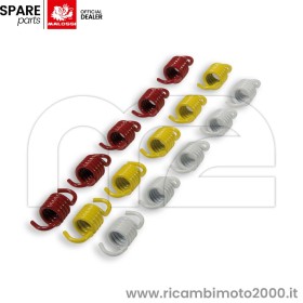 MALOSSI-2912553.jpg_1