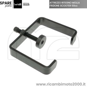 BUZZETTI-56501.jpg_1