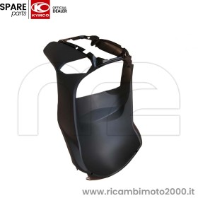 KYMCO-KYMCO 64302-LFC2-E10-N1R.jpg_1