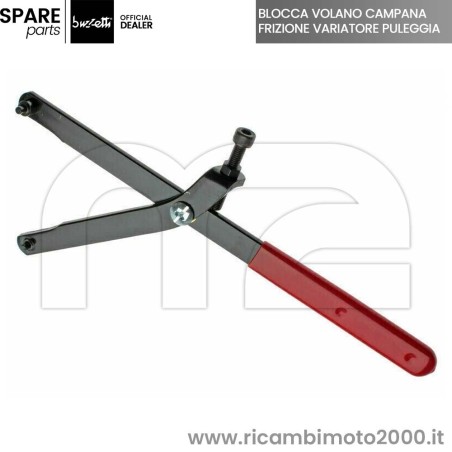 BUZZETTI-56374.jpg_1