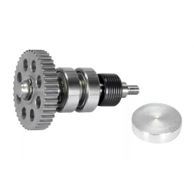 POLINI-2800008-PIAGGIO-497406.jpg_1