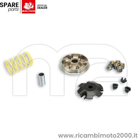 MALOSSI-5111380.jpg_1