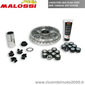 5114148 MULTIVAR 2000 VARIATORE.jpg_1