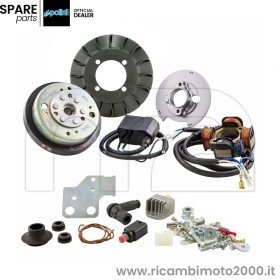 POLINI-1710543.jpg_1