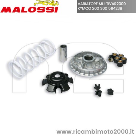 5114238 MALOSSI.jpg_1