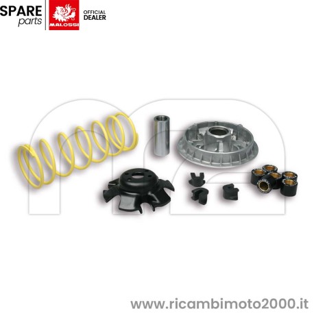 MALOSSI-5111838.jpg_1