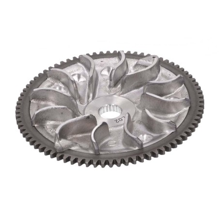 SEMIPULEGGIA-PIAGGIO-487957.jpg_1