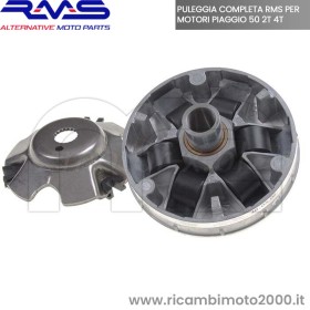 VARIATORE-RMS-1003200303.jpg_1