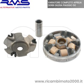 VARIATORE-RMS-100320040.jpg_1