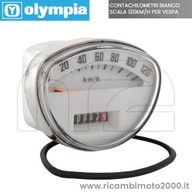 OLYMPIA 71718B.jpg_1