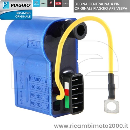 BOBINA 244128 03.jpg_1