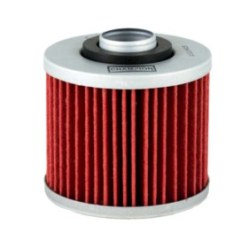 FILTRO-OLIO-CHAMPION-COF0456.jpg_1