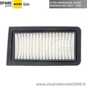 FILTRO-NYPSO-BURGMAN-650.jpg_1