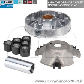 VARIATORE-PIAGGIO-CM110301.jpg_1