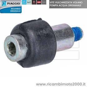 82869R VITE VULCANIZZATA ORIGINALE.jpg_1