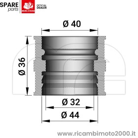 MALOSSI-131012B.jpg_1