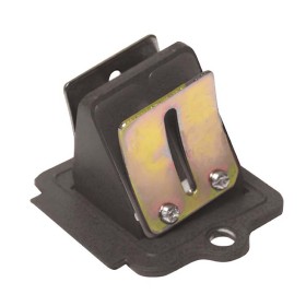 PACCO-LAMELLARE-BCR-PIAGGIO5.jpg_1