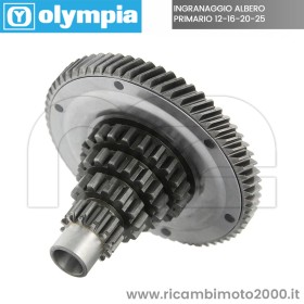 OLYMPIA 80171.jpg_1