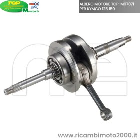 ALBERO-TOP-IM07071.jpg_1