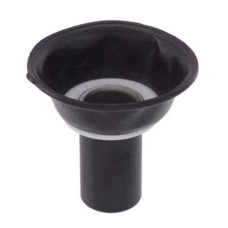 MEMBRANA-APRILIA-LEONARDO-125-150.jpg_1