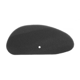 FILTRO-ARIA-MAJESTY-2505.jpg_1