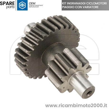 10054-K-ingranaggio.jpg_1
