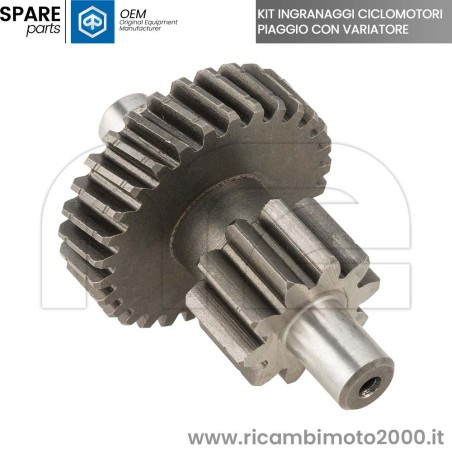 10054-K-ingranaggio.jpg_1